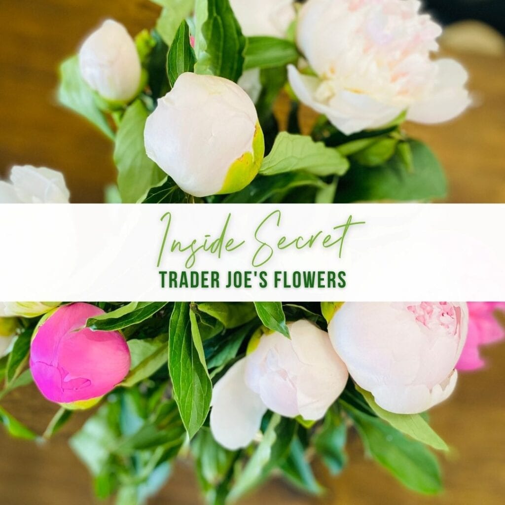 Inside Secret: Trader Joes Flowers